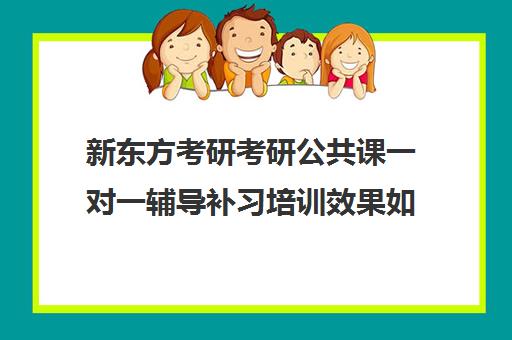 新东方考研考研公共课一对一辅导补习培训效果如何？靠谱吗