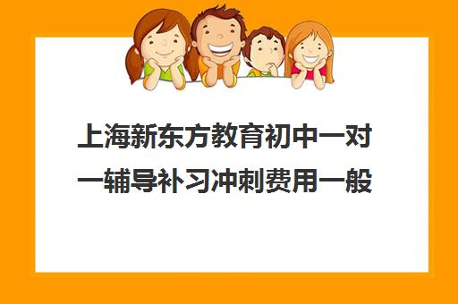 上海新东方教育初中一对一辅导补习冲刺费用一般多少钱