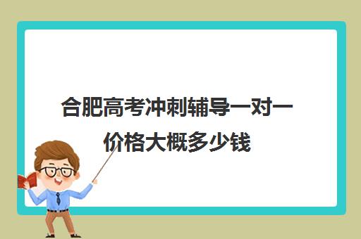 合肥高考冲刺辅导一对一价格大概多少钱(合肥一对一辅导价格表)