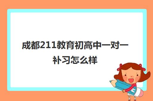 成都211教育初高中一对一补习怎么样