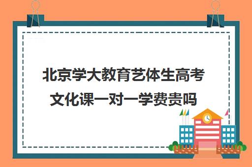 北京学大教育艺体生高考文化课一对一学费贵吗（艺考生文化课培训机构哪家好）