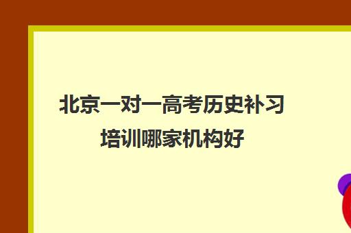 北京一对一高考历史补习培训哪家机构好