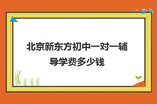 北京新东方初中一对一辅导学费多少钱（新东方初三一对一价格表）