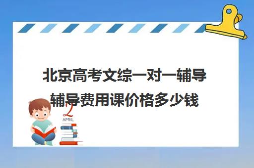 北京高考文综一对一辅导辅导费用课价格多少钱(高三辅导一对一多少钱)