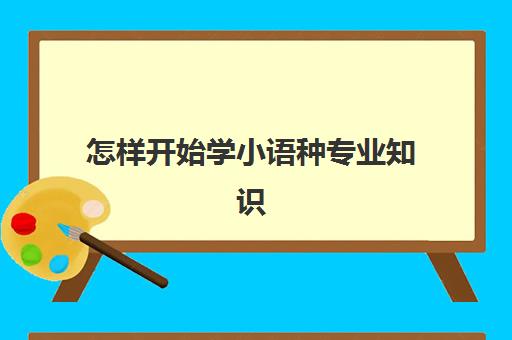 怎样开始学小语种专业知识(学小语种的人现在都怎么样了)