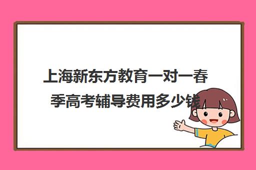 上海新东方教育一对一春季高考辅导费用多少钱(新东方高三一对一好吗)