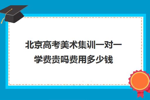 北京高考美术集训一对一学费贵吗费用多少钱(美术班1对1怎么收费)