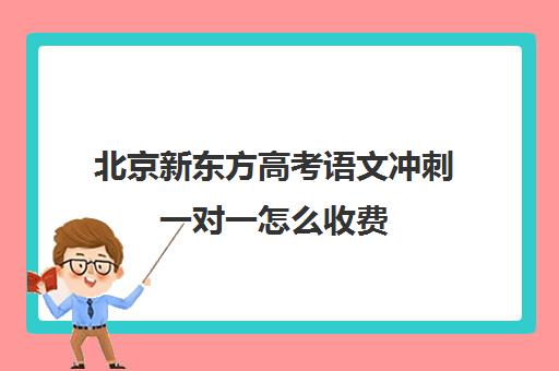 北京新东方高考语文冲刺一对一怎么收费（新东方语文有必要上吗）