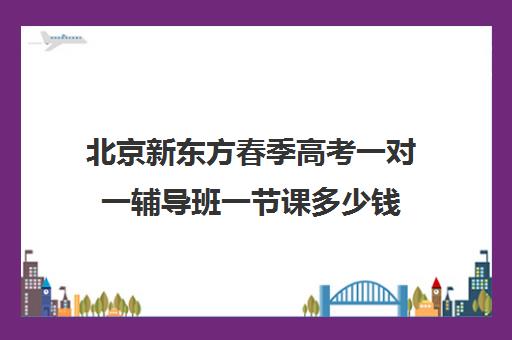 北京新东方春季高考一对一辅导班一节课多少钱（新东方在线一对一辅导价格）