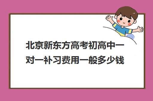 北京新东方高考初高中一对一补习费用一般多少钱