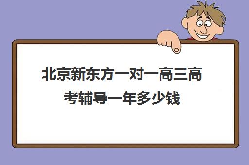 北京新东方一对一高三高考辅导一年多少钱（新东方补课怎么样）