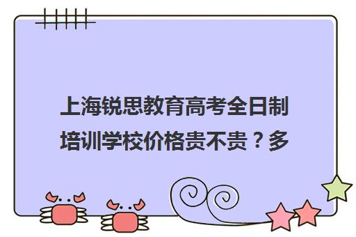 上海锐思教育高考全日制培训学校价格贵不贵？多少钱一年（上海精锐一对一收费标准）