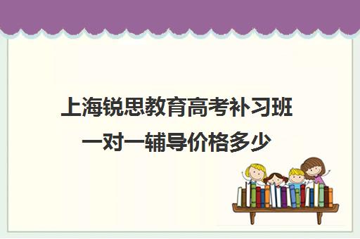 上海锐思教育高考补习班一对一辅导价格多少