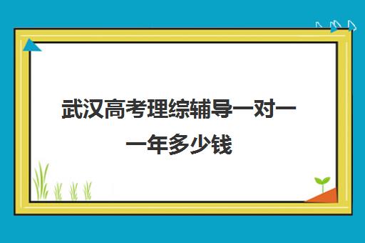 武汉高考理综辅导一对一一年多少钱(武汉高三文化课封闭式培训机构)