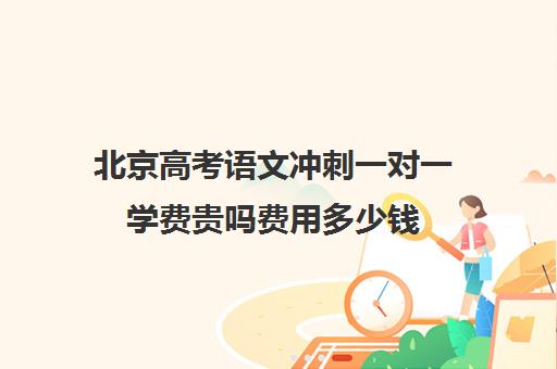 北京高考语文冲刺一对一学费贵吗费用多少钱(精锐一对一收费标准)