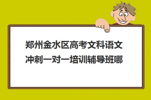 郑州金水区高考文科语文冲刺一对一培训辅导班哪个好(补习班)