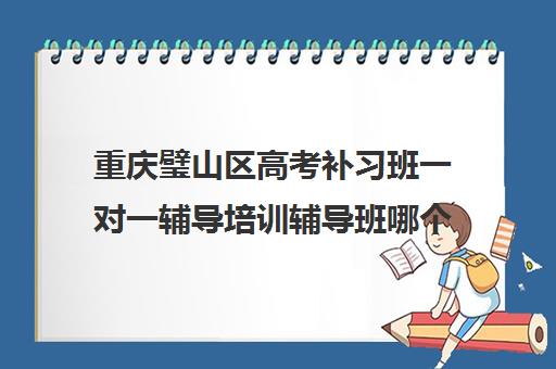 重庆璧山区高考补习班一对一辅导培训辅导班哪个好