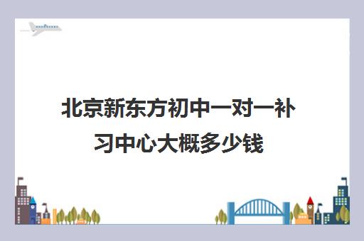 北京新东方初中一对一补习中心大概多少钱