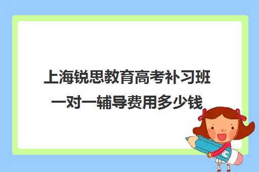 上海锐思教育高考补习班一对一辅导费用多少钱