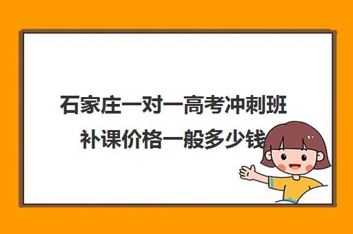 石家庄一对一高考冲刺班补课价格一般多少钱(一对一补课收费标准)