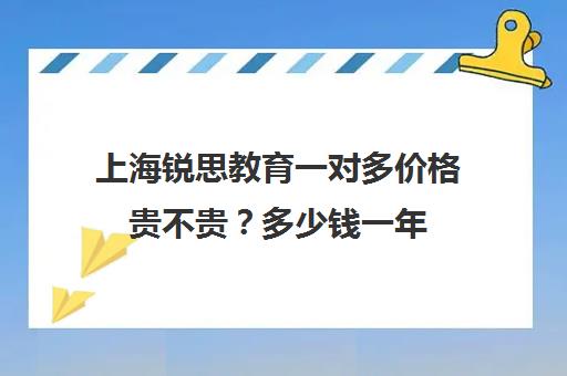 上海锐思教育一对多价格贵不贵？多少钱一年（上海十大教育培训机构）