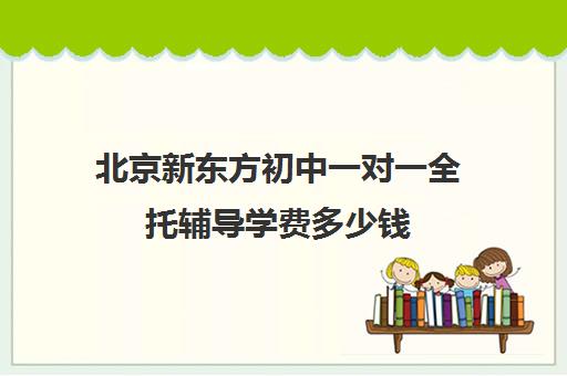 北京新东方初中一对一全托辅导学费多少钱（新东方高三一对一好吗）