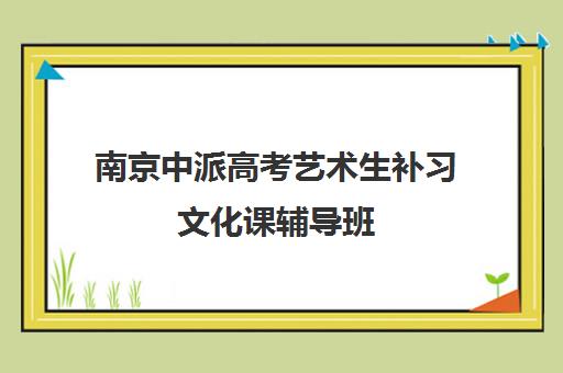 南京中派高考艺术生补习文化课辅导班