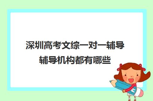 深圳高考文综一对一辅导辅导机构都有哪些(哪个机构一对一辅导好)