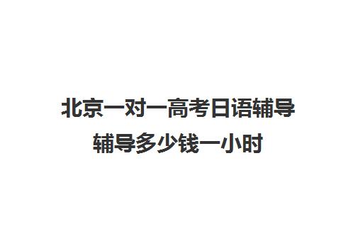 北京一对一高考日语辅导辅导多少钱一小时(一对一补课一小时多少钱)