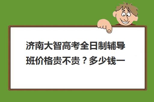 济南大智高考全日制辅导班价格贵不贵？多少钱一年(大智教育高中一对一辅导)