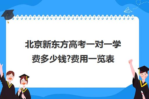 北京新东方高考一对一学费多少钱?费用一览表（新东方一年学费）