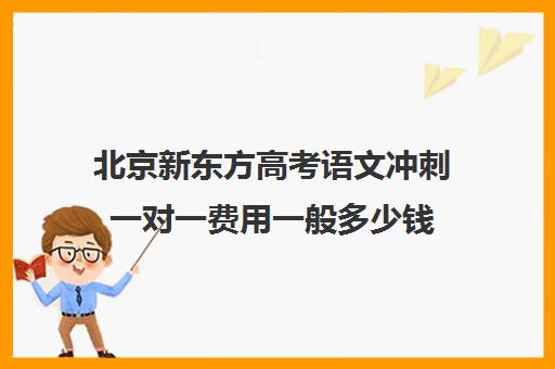 北京新东方高考语文冲刺一对一费用一般多少钱（北京高三补课机构排名）