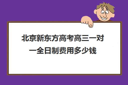 北京新东方高考高三一对一全日制费用多少钱（新东方高三一对一收费价格表）