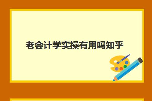 老会计学实操有用吗知乎(有没有老会计带新手的)