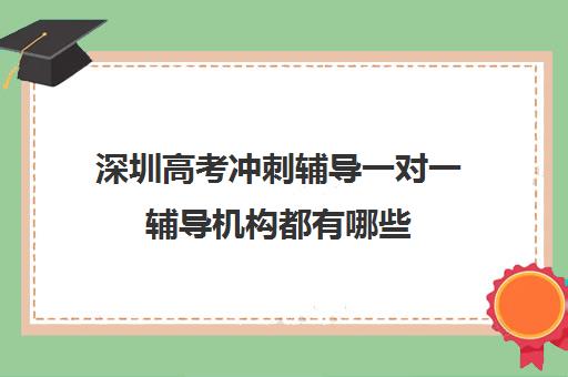 深圳高考冲刺辅导一对一辅导机构都有哪些(高考线上辅导机构有哪些比较好)