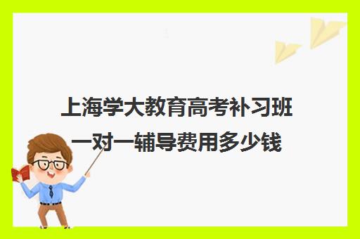 上海学大教育高考补习班一对一辅导费用多少钱