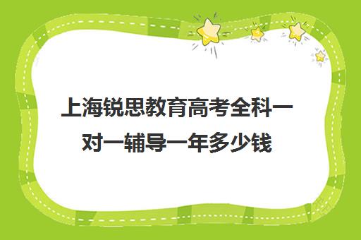 上海锐思教育高考全科一对一辅导一年多少钱（上海比较好的补课机构）