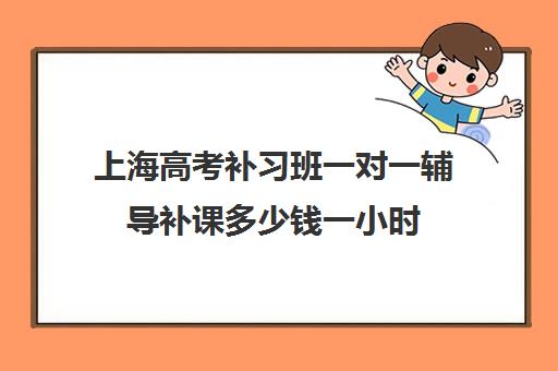 上海高考补习班一对一辅导补课多少钱一小时