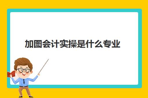 加图会计实操是什么专业(财务会计主要学什么内容)