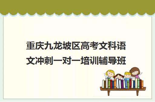 重庆九龙坡区高考文科语文冲刺一对一培训辅导班哪个好(一对一辅导班)