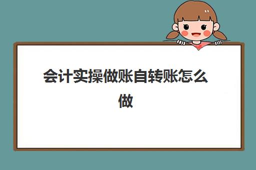 会计实操做账自转账怎么做(会计做账一整套流程)