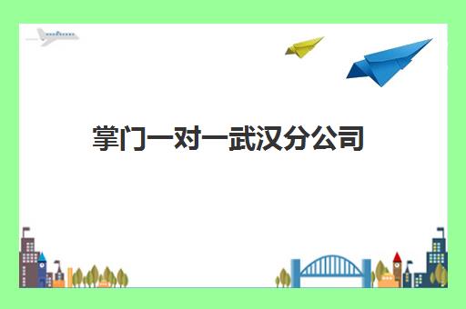 掌门一对一武汉分公司(掌门一对一总部在哪里)