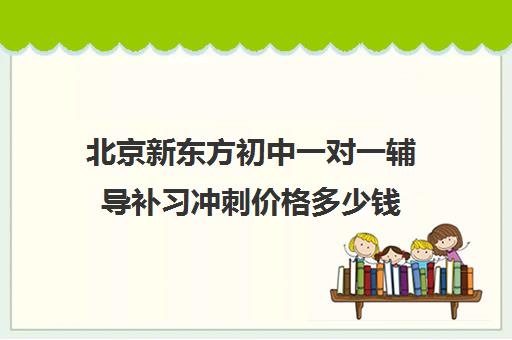 北京新东方初中一对一辅导补习冲刺价格多少钱