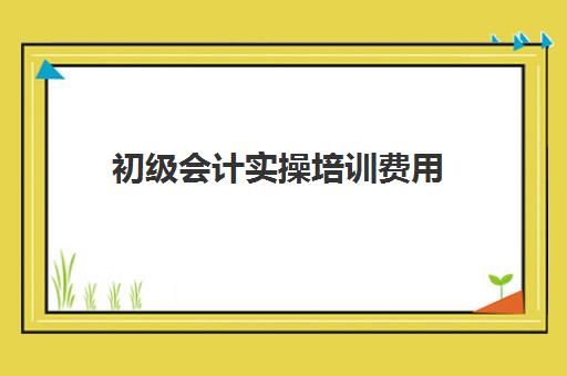 初级会计实操培训费用(会计实账培训有必要去吗)