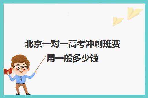 北京一对一高考冲刺班费用一般多少钱(高考一对一辅导多少钱一小时)