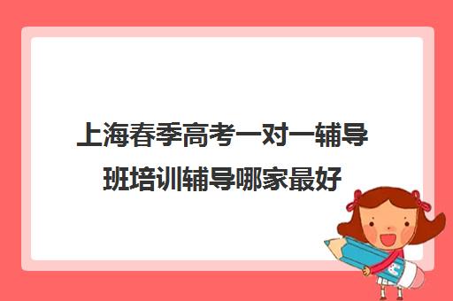 上海春季高考一对一辅导班培训辅导哪家最好(一对一辅导收费)