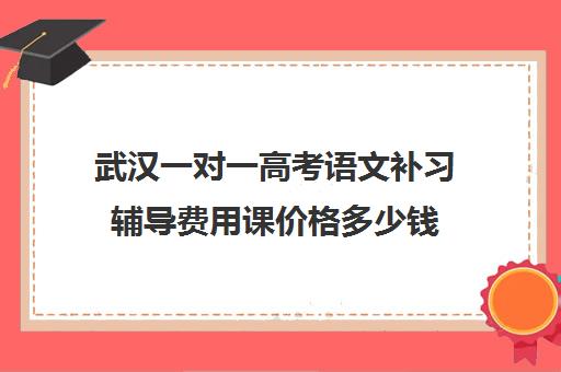 武汉一对一高考语文补习辅导费用课价格多少钱