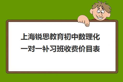 上海锐思教育初中数理化一对一补习班收费价目表