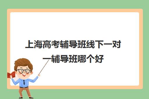 上海高考辅导班线下一对一辅导班哪个好(上海高中一对一补课多少钱一小时)