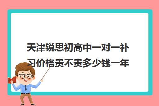 天津锐思初高中一对一补习价格贵不贵多少钱一年